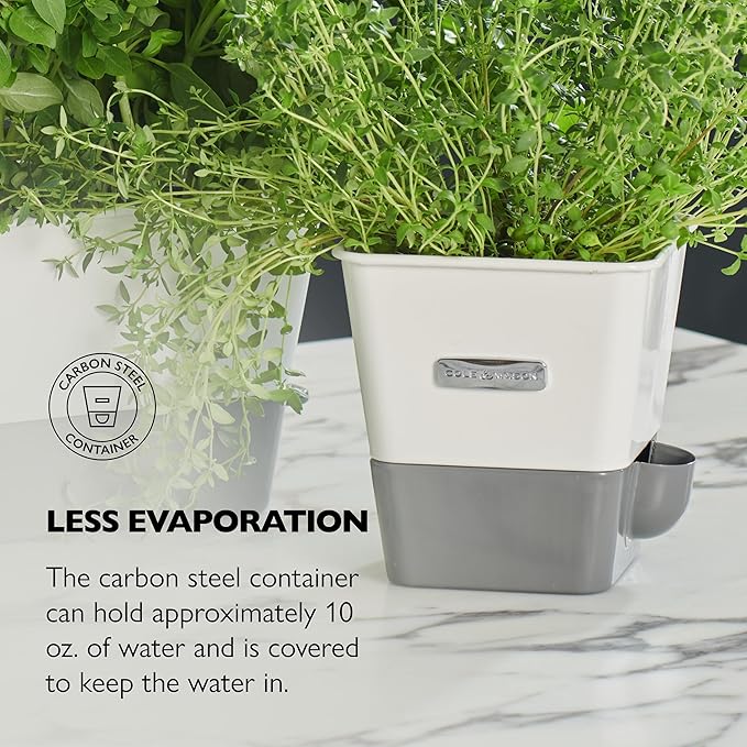 Planters Herb Keeper with Flip Lid, White Alloy Steel, 10 Fl Oz