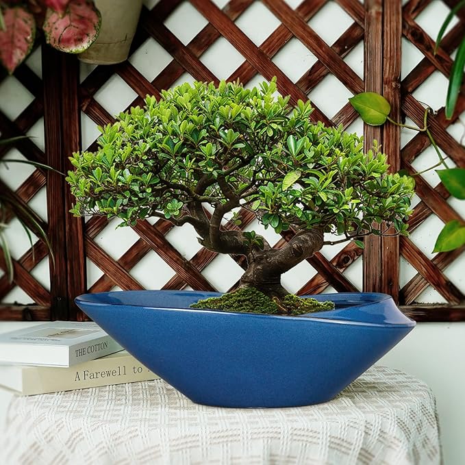 Planter Pot 18 Inch Blue Ceramic with Drainage Hole for Bonsai and Succulents