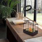 Terrarium House Shape Glass Greenhouse with Black Brass Frame and Tray