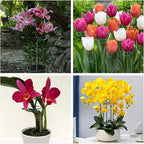 Joyhalo 12 Pack Plant Stakes, 16 Inch Plant Support Stakes, Plant Sticks Support with 24 Twist Ties, Flower Stakes for Plants Peony, Amaryllis, Marigold, Coreopsis, Tomato Seedling, Sapling Etc