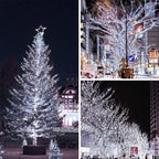 Warm White ⇋ Cool White 66Ft 200LED Christmas Fairy Lights Plug in with Remote, Waterproof String Lights Outdoor Indoor 8 Modes with Timer, Twinkle Lights for Girl's Room Garden Christmas Decorations