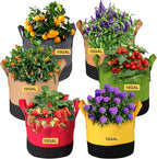 Grow Bags 10 Gallon,6 Pack Fabric Plant Pots with Handles Planter Bag for Outdoor Garden Planting Vegetables Flowers Fruit