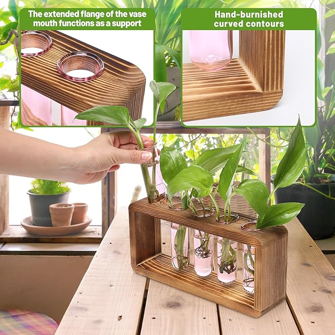 Terrarium Propagation Station with Wood Stand and 5 Glass Test Tubes