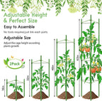 Riare 2 Pack 5.2 FT Tomato Cages for Garden- 63inches Heavy Duty Garden Stakes, Adjustable Tall Tomato Plant Support Tomato Trellis Cage for Pots, Raised Garden Bed, Climbing Vegetables Plants Flowers