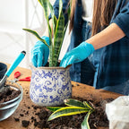 6 Inch Ceramic Plants Pots Vintage Ceramic Flower Planters Crackle Glaze Finish Flower Pots Decorative Floral Vintage Planters for Living Room Garden Home Decor Gifts(Chinoiserie)