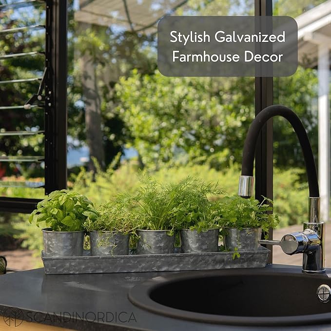 Galvanized Steel Herb Planter Set of 5 with Catch Tray
