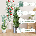 10 Pack Indoor Plant Trellis for Potted Plants, Stackable Garden Trellis for Climbing Plants Outdoor, Small Trellis for Houseplants Rose Hoya Pothos Plant Climber Support