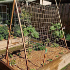 Jute Trellis Netting - Jute Netting for Garden, Heavy Duty Plant Support Netting for Climbing Plants, Cucumber, Vine, Fruits & Vegetables, Climbing Vining Plants (6.6 Ft x 9.8 Ft, 3.9 Inch Squares)