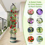 2026 Updated Garden Obelisk Trellis for Climbing Plants Outdoor, 6.3 FT Tomato Cage, Rose, Flowers, Grape, Pea, Cucumber Trellis, Rustproof Plastic Coated Metal Plant Support Trellis for Potted Plants