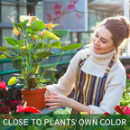 10 Pack Stackable Plant Supports Stakes, Sturdy Garden Trellis for Climbing & Vining Plants, Monstera, Pothos & Philodendron - Reusable Plant Stakes for Indoor & Outdoor Potted Plants
