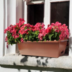QPEY Window Box Planter, 10 Pack 17 Inch Plastic Flower Box with Tray Rectangular Planters for Outdoor Indoor Plants Garden Home Decor (red)