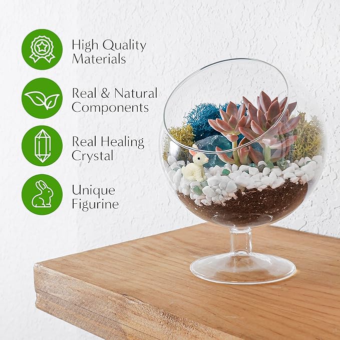 Glass Terrarium Kit with Oval Modern Design and Reindeer Moss