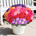Artificial Geraniums Flowers for Outdoors, 6 Bundles Realistic Silk Fake Geranium, No Fade Faux Plants for Hanging Baskets, Window Boxes, Pots - Porch, Patio, Garden Decor(6 Color)