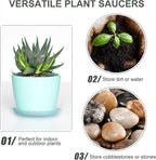 12Pcs Clear Plant Saucer, 6 8 10 Inch Durable Plastic Plant Tray, Round Plant Pot Saucers, Drip Tray for Indoor and Outdoor Garden, Clear
