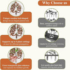 Vertical Wall Planters, Wood Leaf Frame for Up to 6 Cuttings, Dark Nutmeg