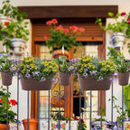 HowRU Metal Iron Flower Pots for Railing Fence Hanging Bucket Pots(5 Pcs) and Hanging Flower Pots Metal Iron Bucket Planter(10 Pcs) (Bronze)