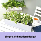 LaLaGreen Wall Planter (24 Inch, 2 Pack) Carbon Steel White Metal Hanging Flower Pot for Succulents, Wall Mount Rectangular Window Sill Box Fence Floating Garden Shelf for Deck Indoor Outdoor Decor