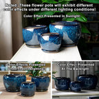 SQOWL Ceramic Planter 8 Inch - Pot for Indoor Outdoor Plants Round Ceramic Plant Pot with Drainage Hole and Saucer Modern Flower Pot Glazed Blue