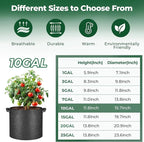 T4U 10 Gallon Grow Bags, Fabric Pots for Plants Potato Planter Grow Garden Bags to Grow Vegetables Tomato Planting Growing Bags Smart Plant Pot Container Gardening for Outdoor, Black Nonwoven 10 Pack