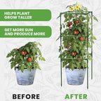 Tomato Cage Square - Large Trellis Stakes and Plant Support Structures for Vegetables and Climbing Plants - Tall Tomato Cages for Garden, Pots, Raised Garden Bed Outdoor Supplies (3 Pack - Up to 41")