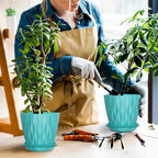 6 Pack 6 Inch Indoor Plant Pots with Drainage Holes, Outdoor Plastic Decorative Flower Pots, Garden Planters with Tray Saucers for Orchids, Violets, Succulents, Herbs, and Other Plants