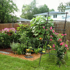 Lalahoni Cucumber Trellis, 6ft Tall Metal Garden Trellis for Climbing Plants Outdoor A-Frame Vine Plant Support for Vegetable Fruit Tomato Peas Beans Cucumber Trellis for Raised Bed