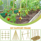 Plant Stakes,4.8FT Longer Sturdy Natural Bamboo Garden Stakes,GAGINANG 20Pcs Bamboo Sticks Trellis Support for Tomato, Vegetables Beans Trees Climbing Plants