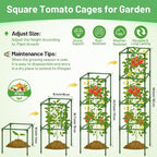 Legigo 6 Pack Square Tomato Cages for Garden- Up to 60 Inch Tomato Plant Support Stakes Cage, Heavy Duty Steel Tomato Trellis Garden Stakes for Raised Garden Bed Climbing Vegetables Cucumbers Flowers