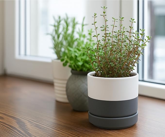 Planters, 4-Pack Modern Ceramic Pots with Drainage Holes and Saucers
