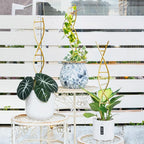 3PCS DNA Plant Trellis Indoor and Outdoor - Lightweight Metal Trellis for Potted Plants, Hoya & Pothos Climbing Support, Artistic Geometric Design, Durable & Easy Installation