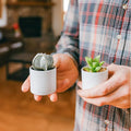 Planter Pots 24 Pack, 2 Inch Matte White Plastic with Saucers