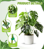 Plant Support Stakes, 6 Pcs Stackable Plant Support Poles with 20 Clips, 1 Roll Tie for Indoor Outdoor Monstera Climbing Plants, Green