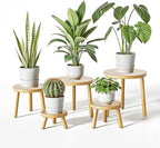 Delma Wood Plant Stands Indoor, 5-Pack Single Plant Stand for 6-12 Inch Pots, Mid-Century Modern Plant Stool, Tall Plant Stand for Large Plants for Living Room, Balcony, Office (Light Brown, 5-Pack)