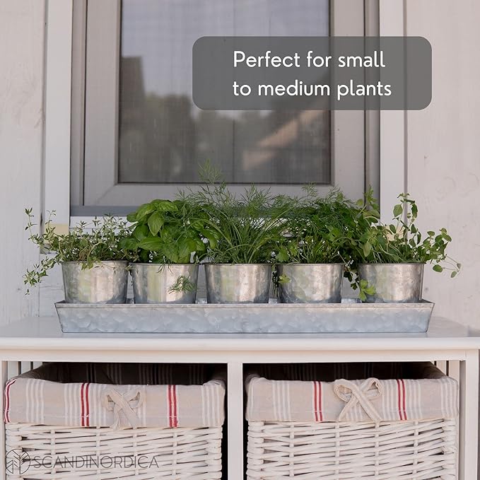 Galvanized Steel Herb Planter Set of 5 with Catch Tray