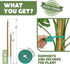 2 Pack 48" and 28'' Bendable Moss Pole Monstera Plant Support for Climbing Indoor Plants - Stakes for Potted Climbers - Tall Sticks Indoor Trellis for Houseplants - Accessories for Monstera Pot