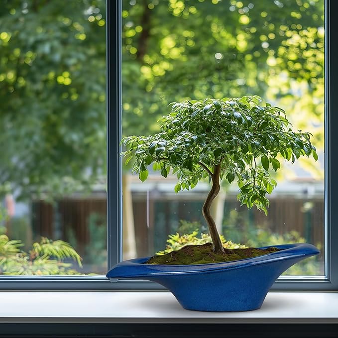 Bonsai Tree Pot 18 Inch - Ceramic Succulent Pots Large Bonsai Planter for Indoor Outdoor Plants Decorative Plant Pot with Drainage Hole Flower Pot for Home Garden Room Decor Blue