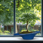 Bonsai Tree Pot 18 Inch - Ceramic Succulent Pots Large Bonsai Planter for Indoor Outdoor Plants Decorative Plant Pot with Drainage Hole Flower Pot for Home Garden Room Decor Blue