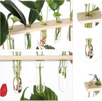 Terrarium Propagation Station with 16 Glass Test Tubes, Beige Wood Stand