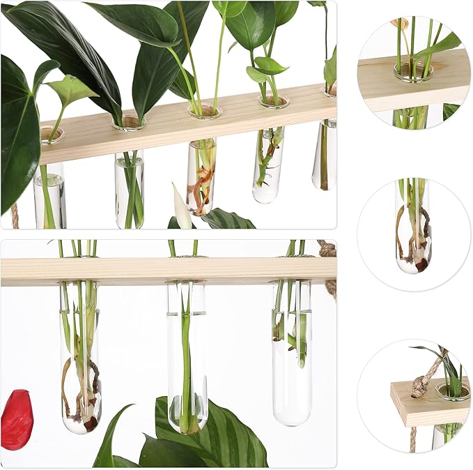 Terrarium Propagation Station with 16 Glass Test Tubes, Beige Wood Stand
