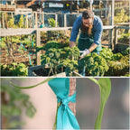 4 Rolls Stretch Tie Tape, 1” Wide 200FT Reusable Garden Plant Ties Green Tapes for Plants, Thick Garden Vinyl Stake Ribbon for Branches Flowers Tomatoes Indoor Outdoor Greenhouse