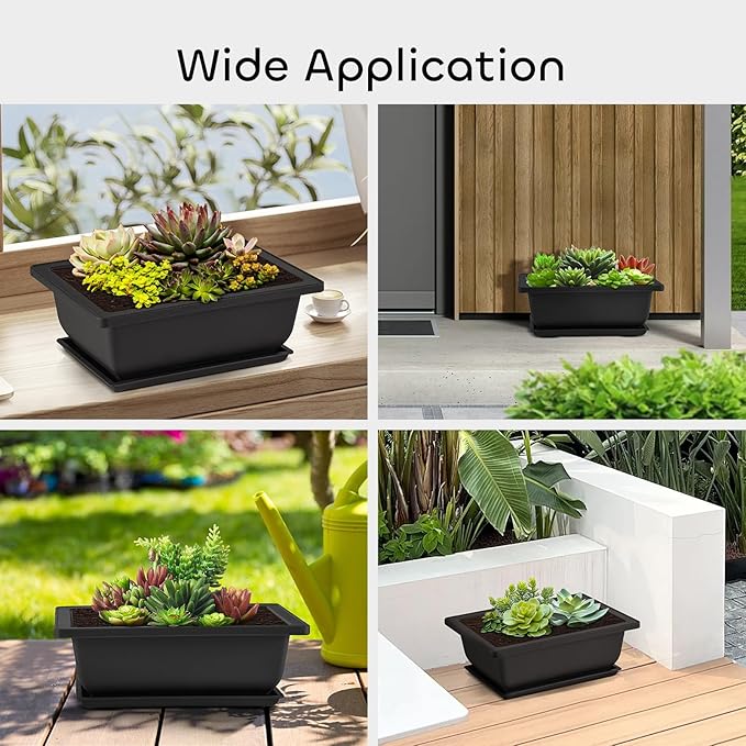 Rectangle Bonsai Pots, 3 Pack 6.5 Inch Black Plastic with Drainage Trays