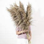 Dried Pampas Grass Stems 9 Pack, 48-Inch Brown Boho Floor Vase Decor