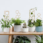Small Trellis for Potted Plants, 15.94 inch Gold Metal Plant Trellis for Climbing Plants Indoor, Pant Lattice for Ivy Vines Hoya Houseplants Flower 4 Pack