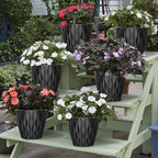 6 Pack 7 Inch Indoor Plant Pots with Drainage Holes, Outdoor Plastic Decorative Flower Pots, Garden Planters with Tray Saucers for Orchids, Violets, Succulents, Herbs, and Other Plants