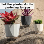 3 Packs Self Watering Plant Pots, Plastic Flower Pots with Drainage Hole and Saucer, Self Watering Planters for Indoor Outdoor Garden Plants, African Violet, Herbs (White, 6.7")