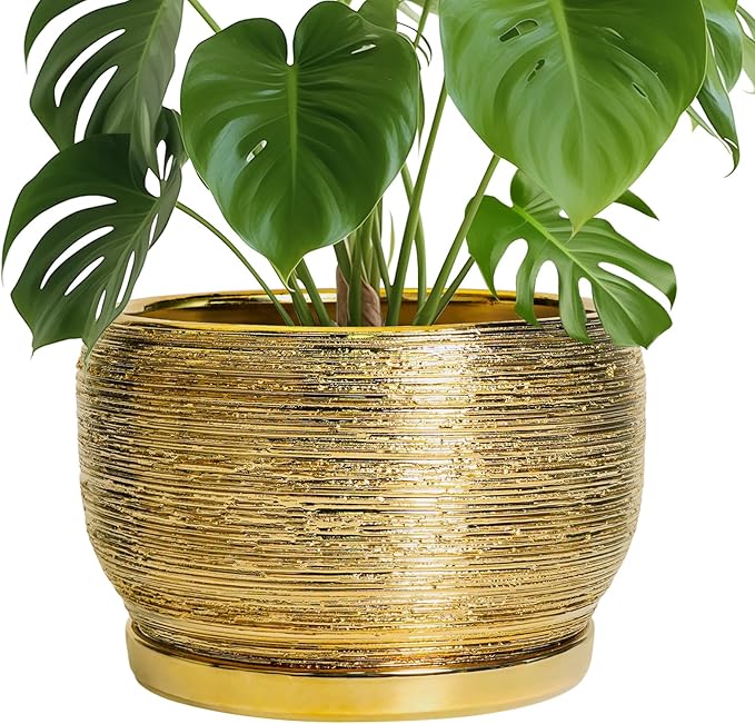 SQOWL Ceramic Planter for Indoor Plants - 10 Inch Plant Pot with Drainage Hole and Saucer, Modern Round Planter Outdoor, Large Decorative Flower Pot, Apartment Decor, Birthday Gifts, Gold