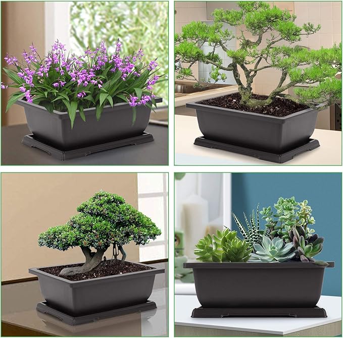Planter Pots, 3-Pack Black Plastic 11 Inch Bonsai Training Pots with Drainage Tray