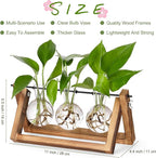 Terrarium Propagation Station with 3 Glass Bulb Vases and Brown Wood Stand