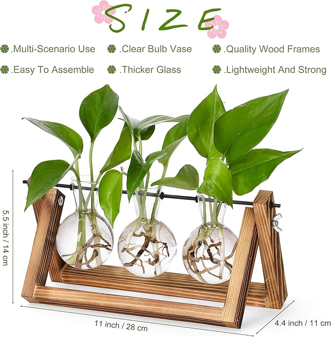 Terrarium Propagation Station with 3 Glass Bulb Vases and Brown Wood Stand