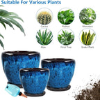 Ceramic Pots for Plant with Self Watering Globes, 8 inch Planters for Indoor Plants with Saucer, Glaze Flower Pots Outdoor with Drainage Holes, Decorative Garden Pots